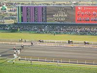 f0069890_2010035.jpg