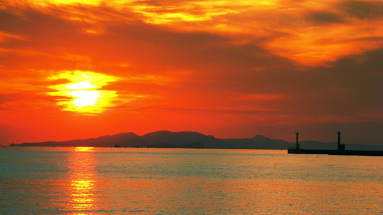d0020791_23434256.jpg