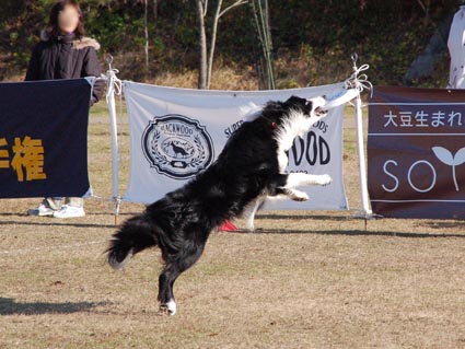 f0094391_13405095.jpg