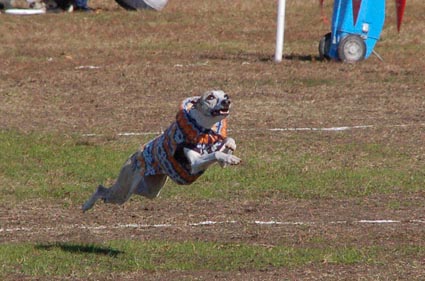 f0094391_13543942.jpg