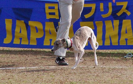 f0094391_142675.jpg