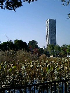 b0017892_10262528.jpg