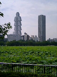 b0017892_10262537.jpg