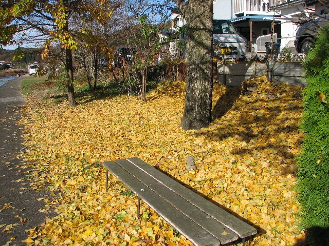 c0036792_2211071.jpg