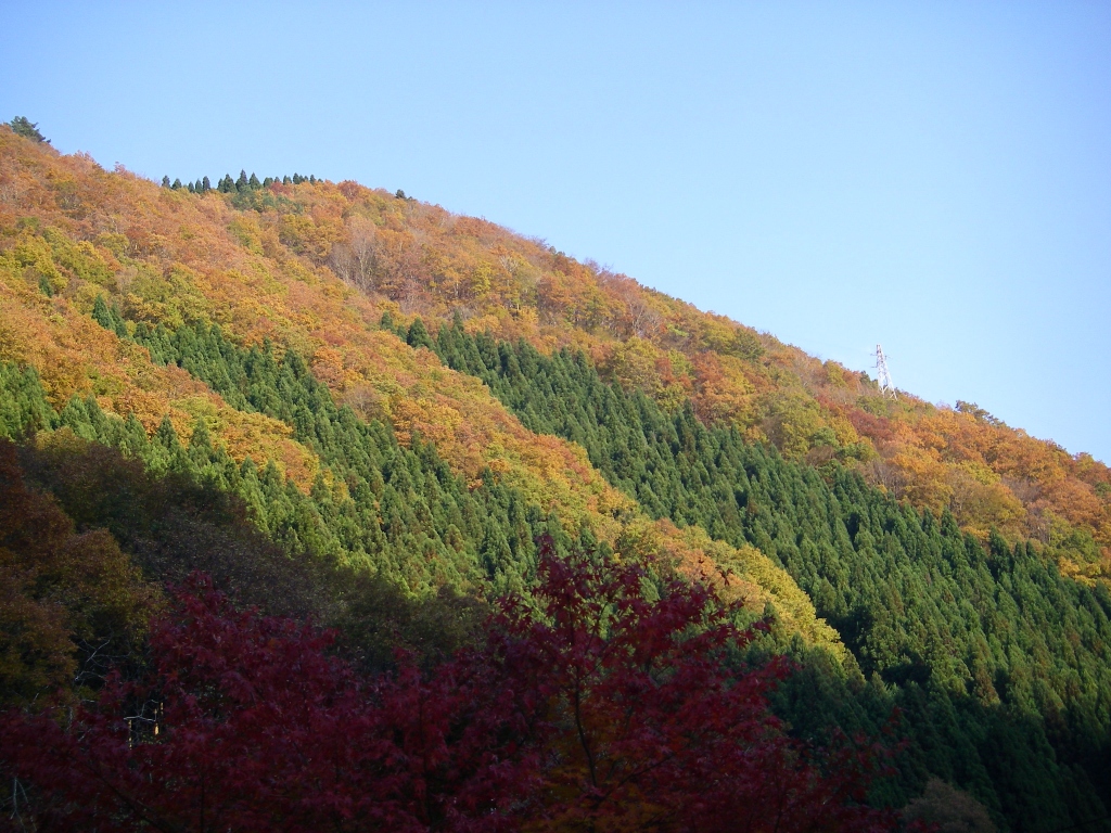b0092694_2348668.jpg