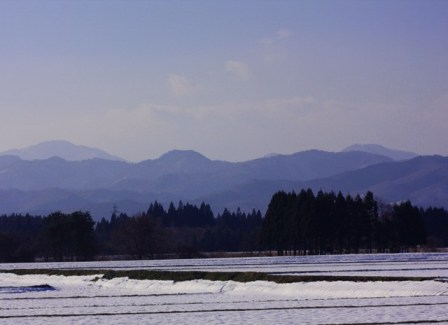 c0118496_20305926.jpg