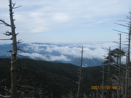 c0147398_2345430.jpg