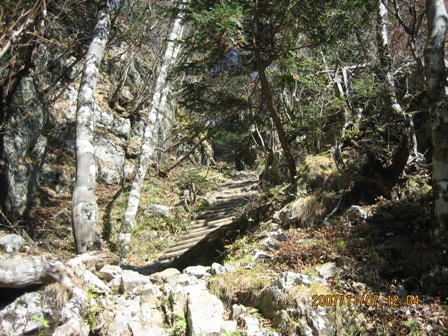 c0147398_23515128.jpg