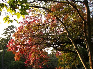 c0125501_2223897.jpg