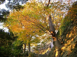 c0125501_22331947.jpg