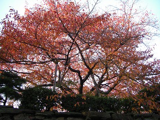 c0125501_23321514.jpg