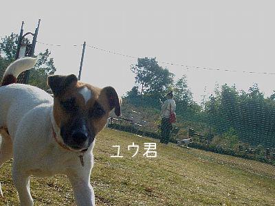a0051402_0454737.jpg