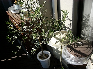 c0151903_1282061.jpg