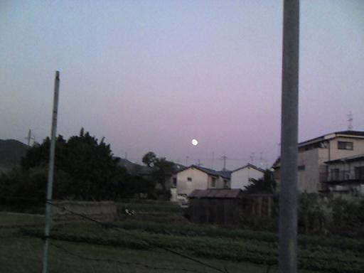 c0087305_675265.jpg