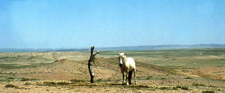 c0139007_2337966.jpg