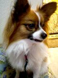 d0077607_23232738.jpg