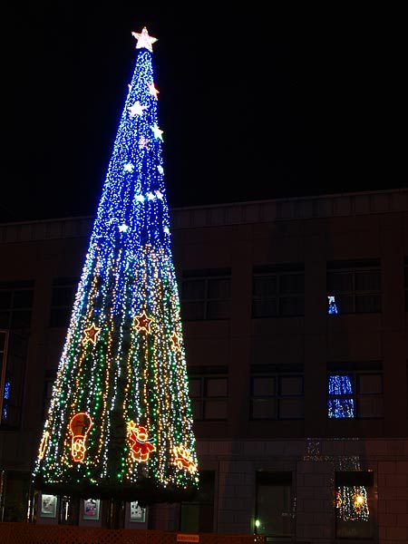 a0041508_20211276.jpg