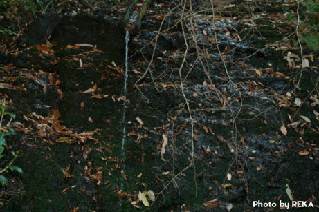 e0032508_2135320.jpg