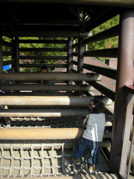 c0145209_955759.jpg