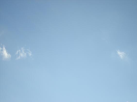 d0040609_910713.jpg
