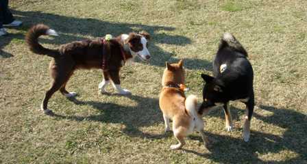 f0004309_18211956.jpg