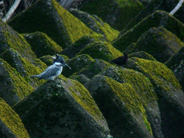 c0110510_2324961.jpg