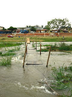 e0028810_9313221.jpg