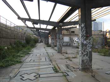 e0038811_78482.jpg