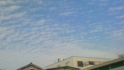 e0033613_148985.jpg