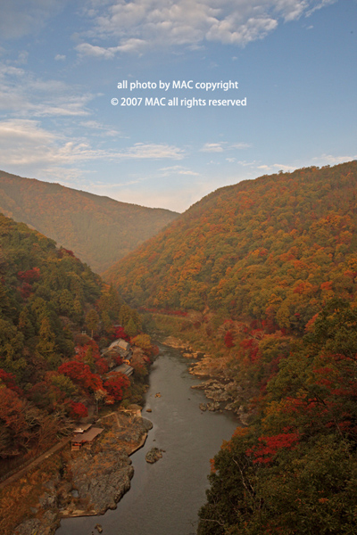 d0084217_1844762.jpg
