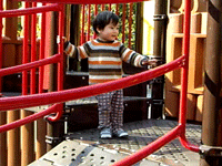 b0026822_0141123.gif