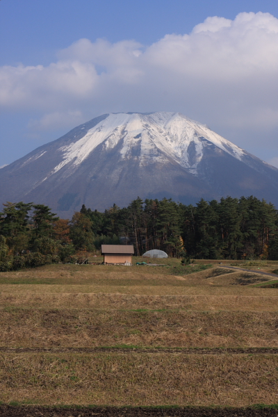 d0133522_0173496.jpg