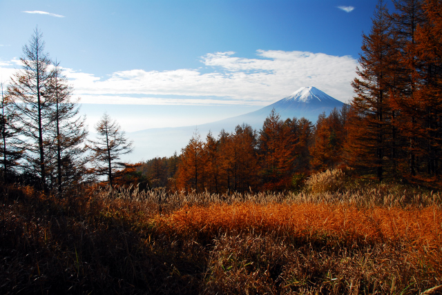 d0091834_1181917.jpg