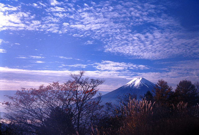 d0091834_118632.jpg