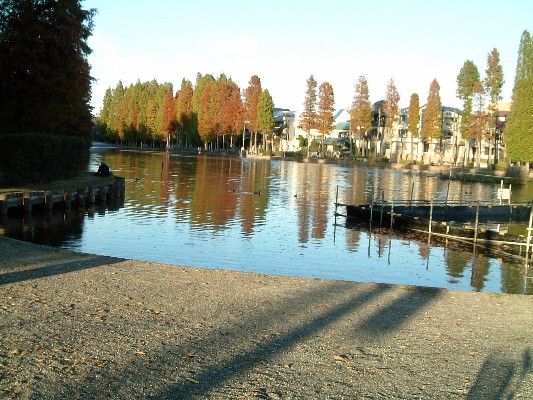 e0091334_17591349.jpg