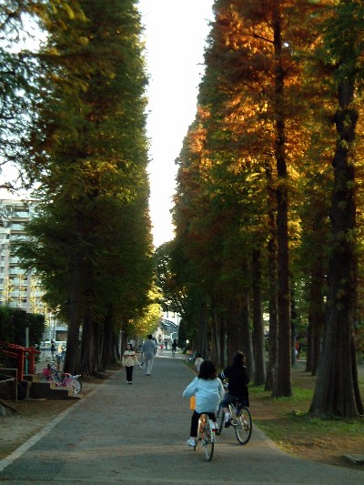 e0091334_18163260.jpg
