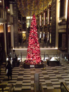 c0115336_8353360.jpg