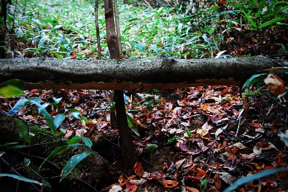 b0025738_20371359.jpg
