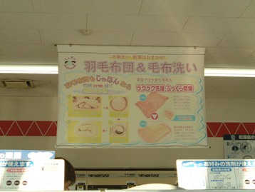 c0077338_0155269.jpg