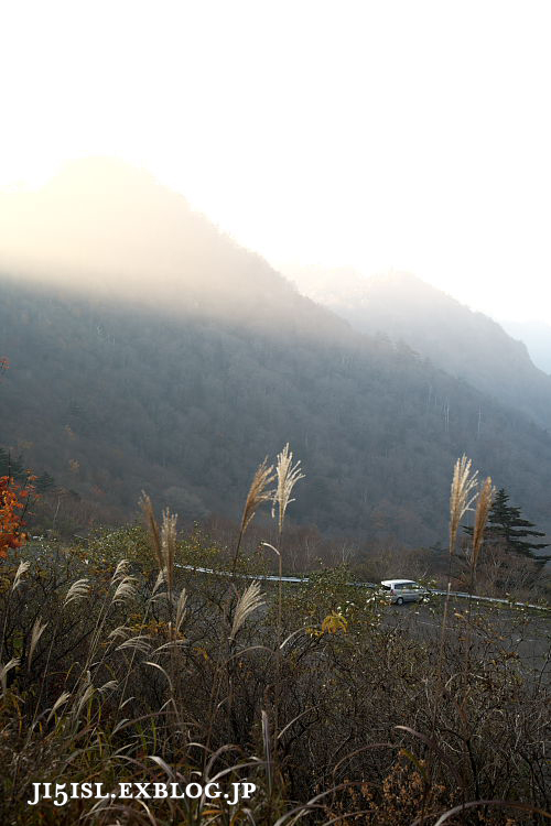 a0078341_23291156.jpg