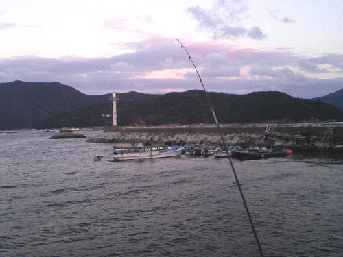 a0107644_928282.jpg