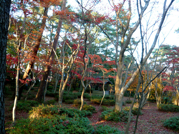 c0131544_2333211.jpg