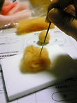 f0144444_2157744.jpg