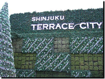 11月25日新宿イルミネーション2