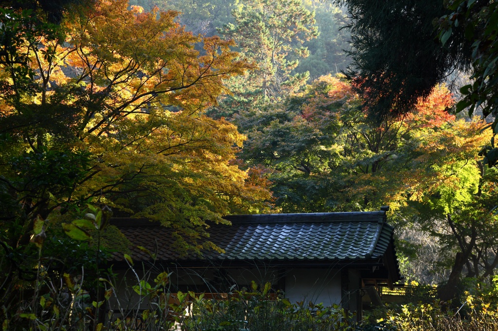 c0115948_2127873.jpg