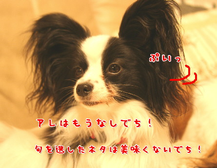 d0013149_23555740.jpg