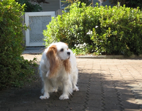 f0136850_2303812.jpg