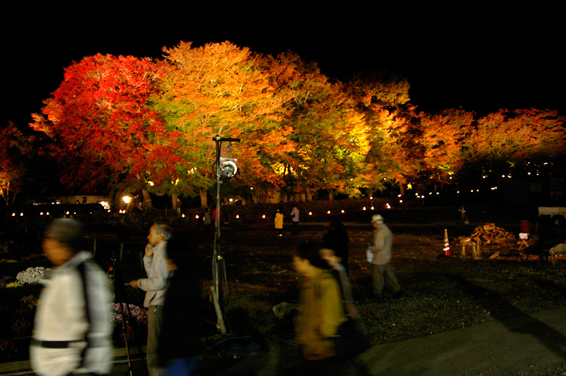 d0100156_2056529.jpg