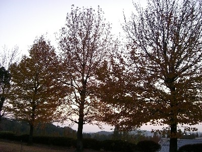 f0104057_21154324.jpg
