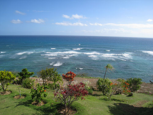c0124959_1962365.jpg